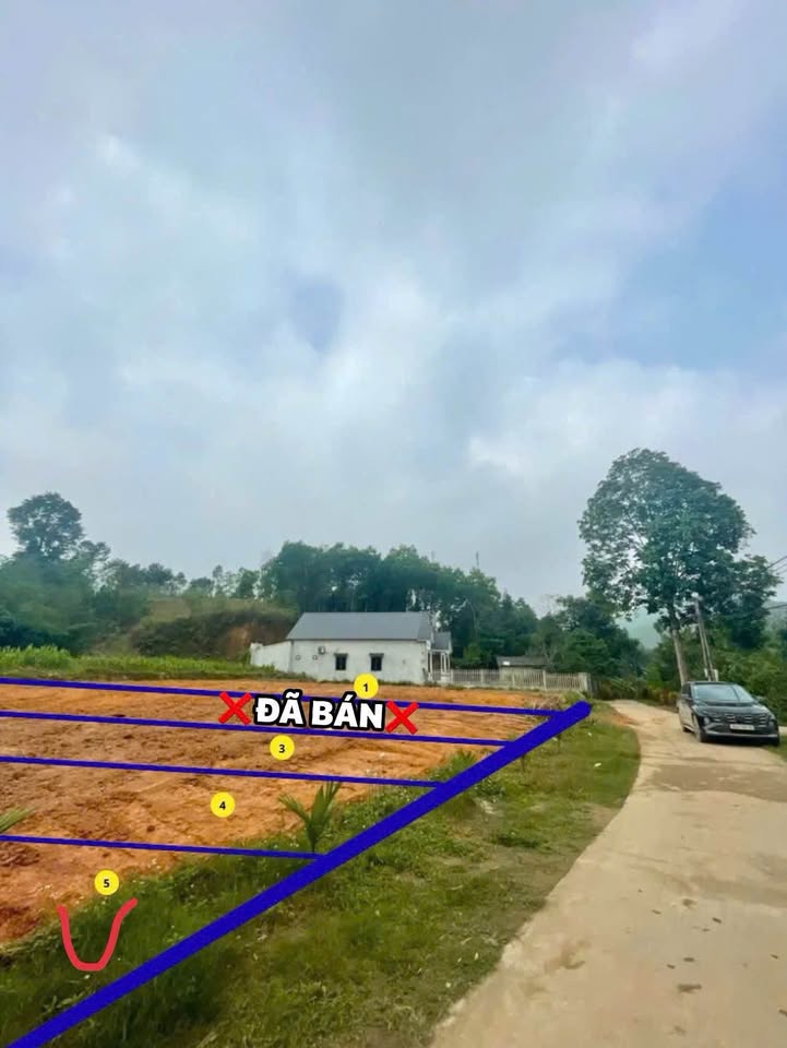 Đất nền Yên Bái 134m² giá chỉ từ 650 triệu - Đầu tư sinh lời ngay!