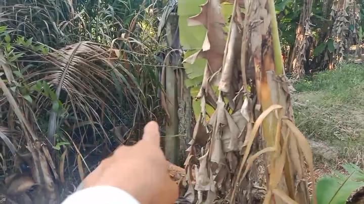 Đất nền Quốc lộ 91B, Phường Phước Thới, 1474m² giá 4 tỷ - Cơ hội đầu tư hấp dẫn!