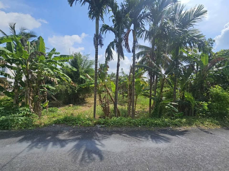 Đất nền Trường Long, Phong Điền 200m² giá 2.5 tỷ - Đầu tư sinh lời hấp dẫn!