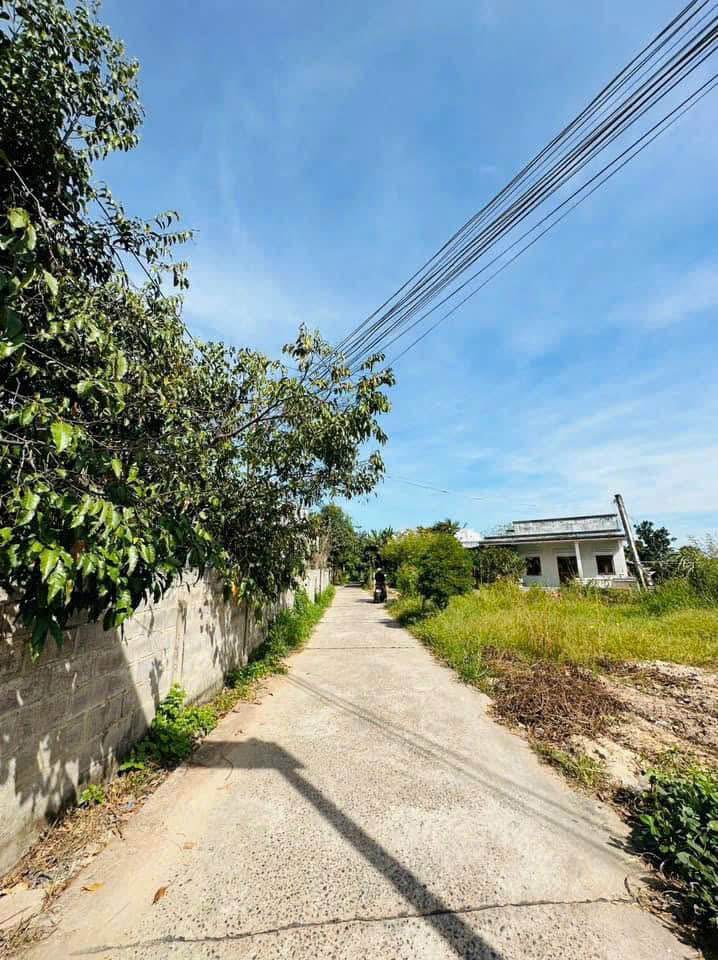 Đất nền liền kề tại Hàm Liêm, 126,8m² & 135m² - Giá chỉ 4,5 triệu/m²