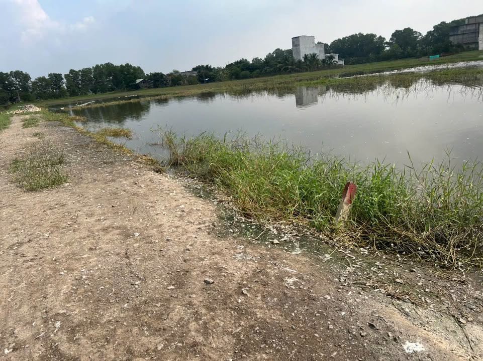 Đất nền Quận Bình Tân 150m² giá 800 triệu - Sổ hồng chính chủ, thổ cư 100%