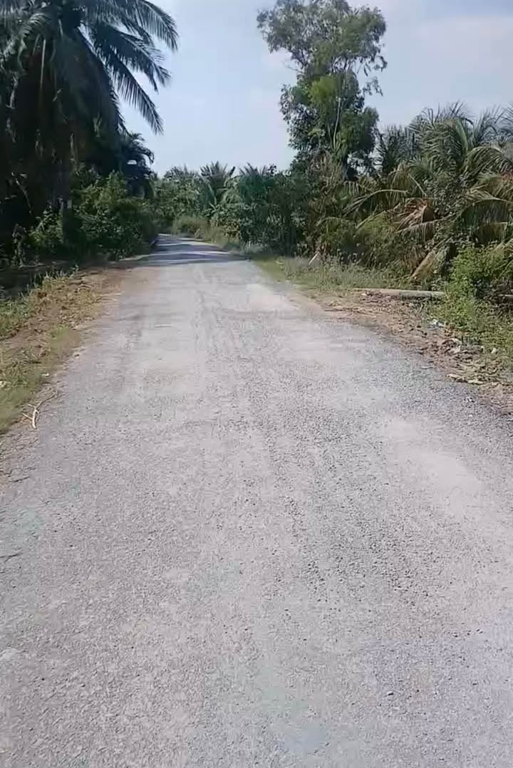 Đất nền thổ cư 100m² tại Bình Phan, Chợ Gạo - Sổ hồng riêng, giá chỉ 270 triệu