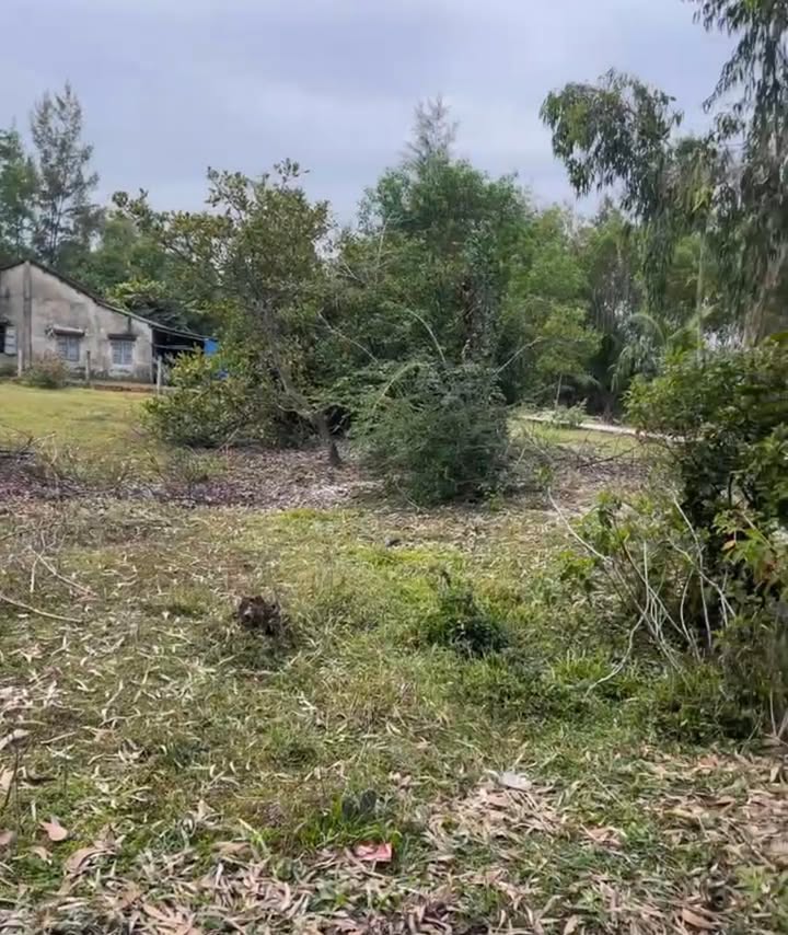 Lô đất vườn đẹp tại Tam Thanh, 200m² giá thỏa thuận - Sẵn sàng cho bạn!