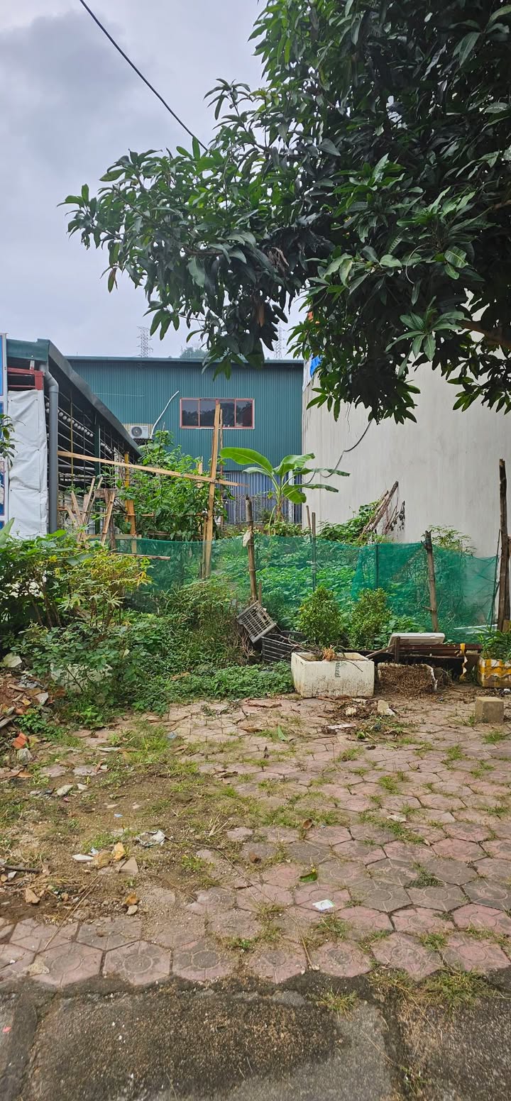 Đất nền Trần Thị Lan Lào Cai 100m² giá chỉ 2.7 tỷ - Đối diện chợ Châu Úy