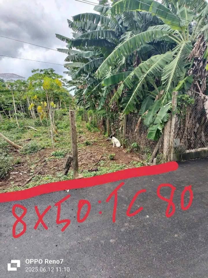 Đất nền Hòa Long Bà Rịa 447m² giá 2.2 tỷ - Đầu tư sinh lời ngay!