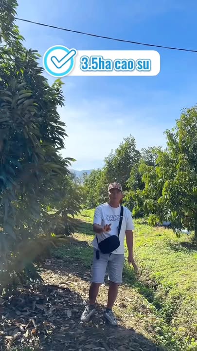 Farm 14ha tại Đông Giang, Hàm Thuận Bắc giá 40 tỷ - Cơ hội đầu tư tiềm năng!