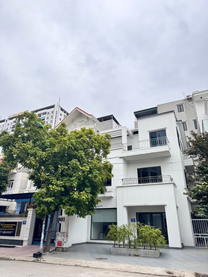 Biệt thự đơn lập 3 tầng 162.5m² giá chỉ 2x tỷ - View vườn hoa thoáng mát!