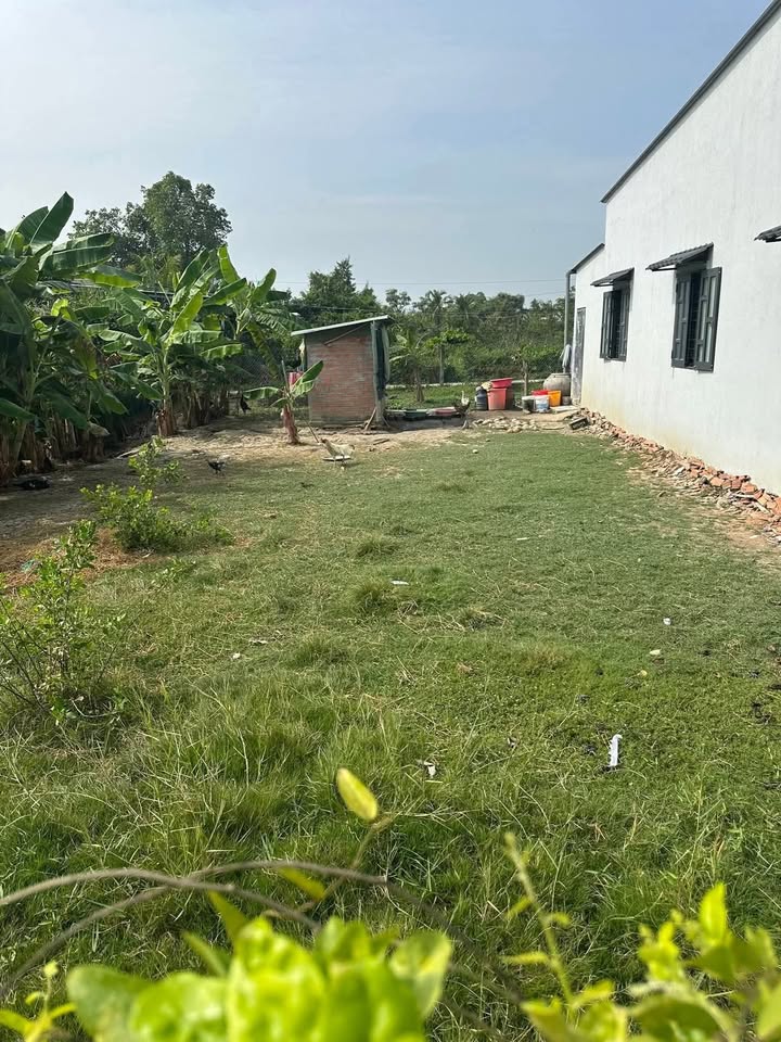 Đất nền phường Long Hưng, Gò Công 230m² giá 400 triệu - Sổ đỏ chính chủ, 2 mặt tiền!