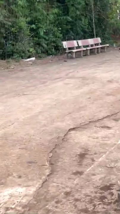 Đất nền 2500m² tại xã Thọ Văn, Phú Thọ - Giá chỉ 3 tỷ!