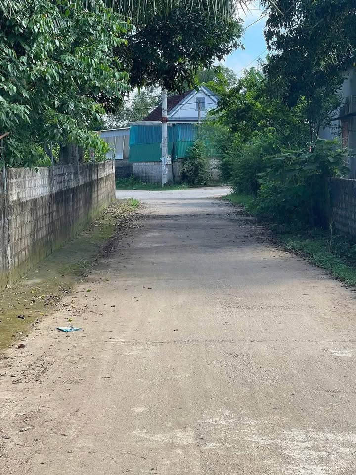 Đất nền Huyện Yên Thành Nghệ An 280m² giá 700 triệu - Đường thông, dân cư đông đúc!