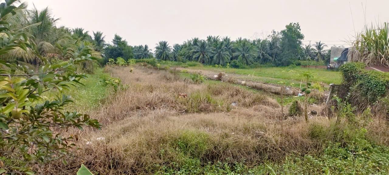 Đất mặt tiền bờ kênh tại khu công nghiệp Long Đức, 18.000m² - Giá chỉ 1 tỷ!