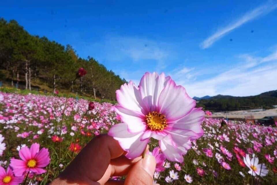 Đất nền Tà Nung Đà Lạt 2600m² giá thỏa thuận - Đầu tư lý tưởng!