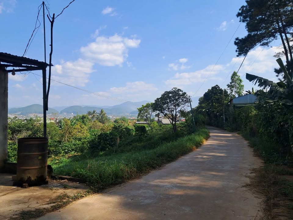 Đất nền Đức Trọng 1342m² giá chỉ 2,35 tỷ - Thổ cư sẵn, hạ giá gấp!