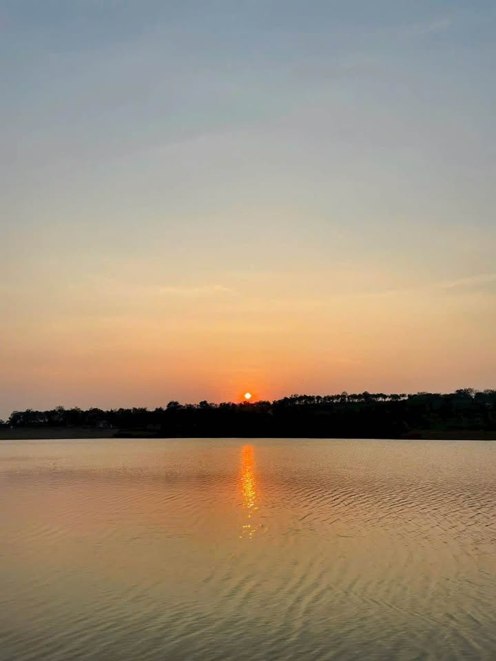 Đất nền hẻm Gara Năm Râu, Phường Diên Hồng 484m² - Tiềm năng đầu tư lớn!