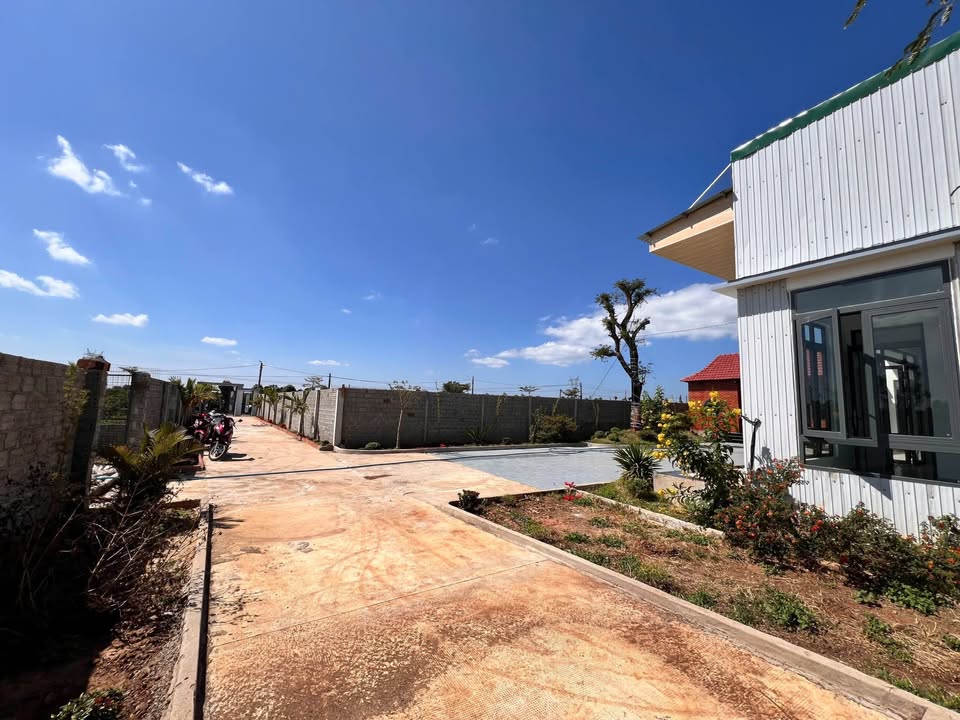 Nhà vườn hẻm 196 Nguyễn Kiệm, Gia Lai 1300m² - Giá chỉ 1.8 tỷ!