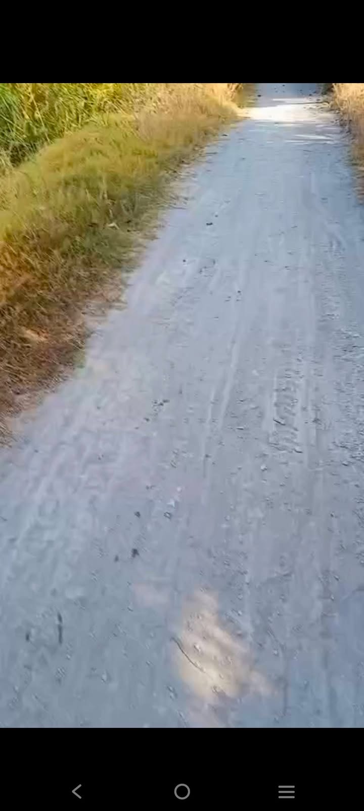 Farm 12.000m² tại Tháp Mười giá 420 triệu - Đầu tư sinh lời ngay!