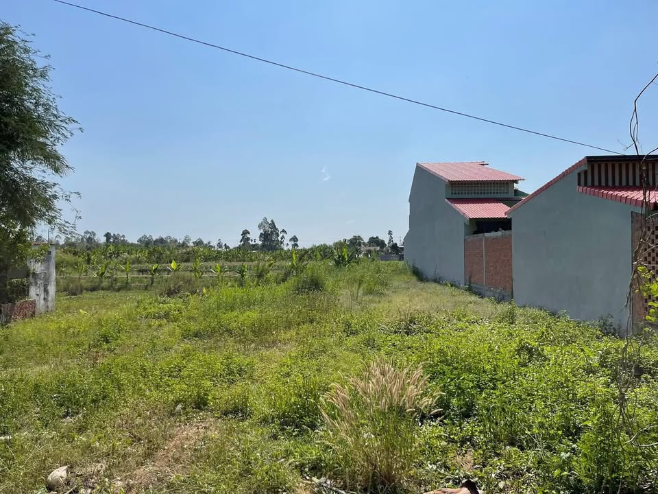 Đất nền mặt tiền ĐH 64 Lấp Vò 1815m² giá 4 tỷ - Đầu tư sinh lời ngay!