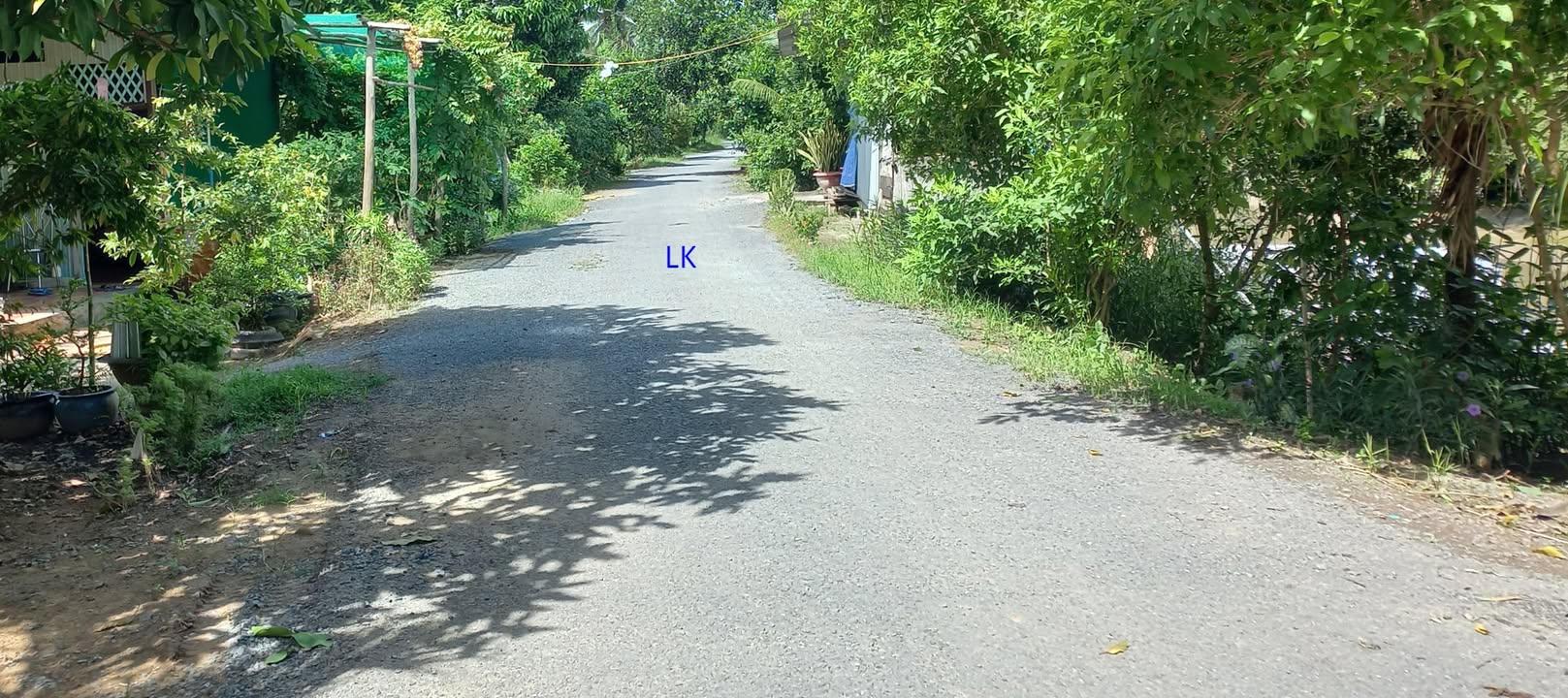 Đất nền 2000m² xã Láng Biển, Tháp Mười chỉ 800 triệu - Cơ hội đầu tư tốt!