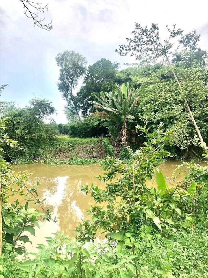 Đất thổ cư Tân Dương 119m² giá 600 triệu - View sông thoáng mát!