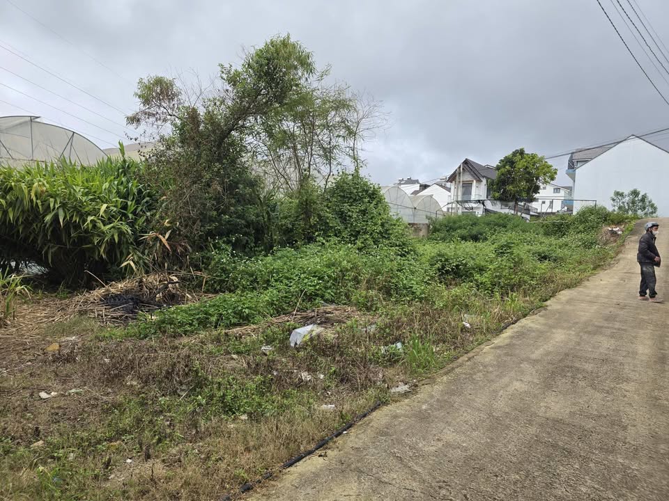 Đất nền phường Lâm Viên Đà Lạt 588m² giá 10.5 tỷ - Tiềm năng phát triển vượt trội!