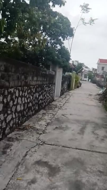 Đất thổ cư xã Quỳnh Anh, Nghệ An 196m² giá 1.5 tỷ - Cơ hội đầu tư tuyệt vời!