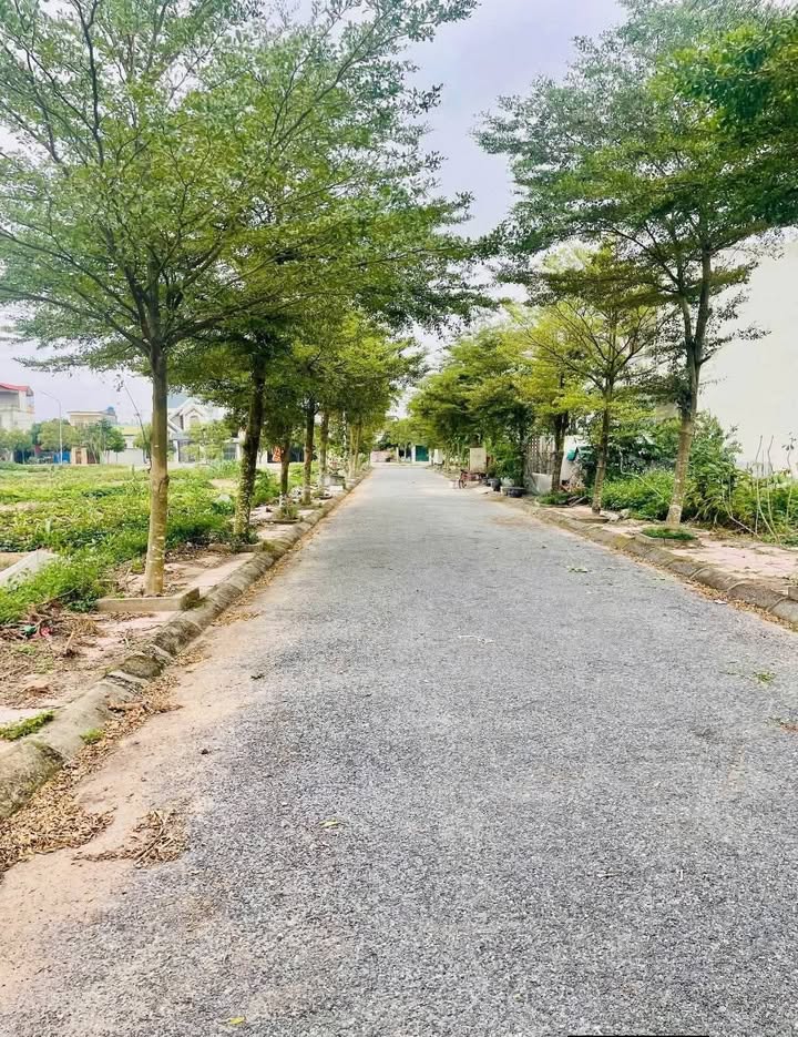 Đất nền Tây Ninh GĐ1 108m² giá 1.2 tỷ - Đầu tư sinh lời hấp dẫn!