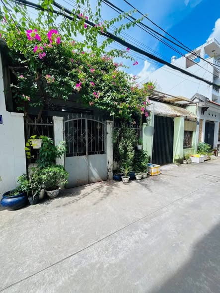 Nhà cấp 4 Đường 385, Thủ Đức 101m² giá 7.2 tỷ - Đất vuông vức, hẻm xe hơi
