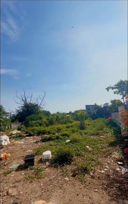 Đất thổ cư 470m² đường Số 10, Thủ Đức giá 20 tỷ - Phù hợp xây dựng đa dạng