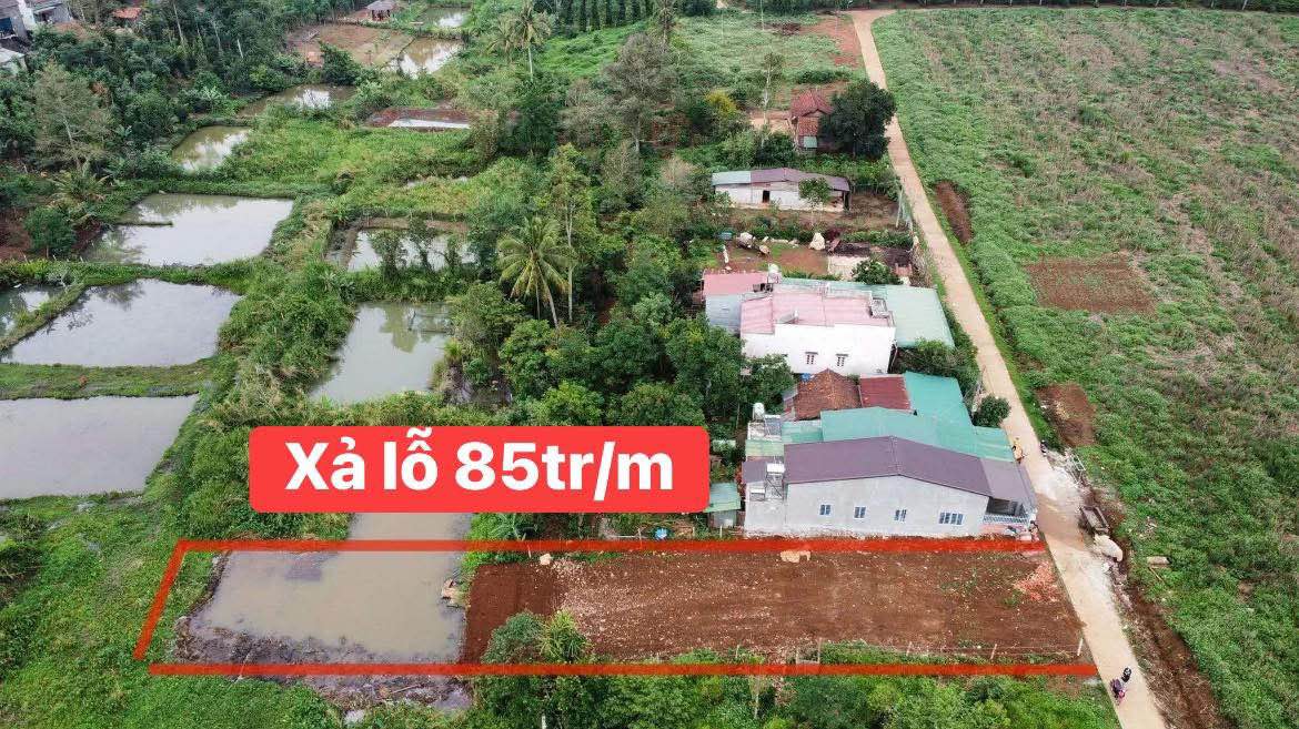 Đất nền xã Đức Hòa Hạ 480m² giá 4.92 tỷ - Cơ hội đầu tư hiếm có!