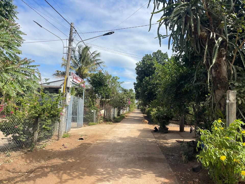 Đất thổ cư 450m² tại buôn E Căm, huyện Krông Ana - Giá 895 triệu, không thể bỏ lỡ!