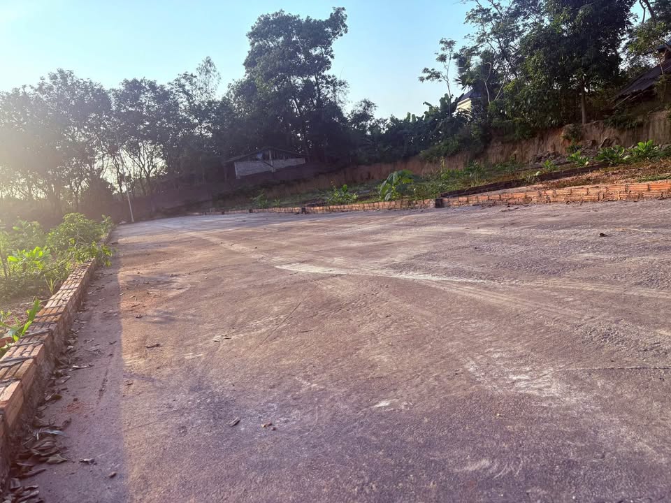 Đất thổ cư 108,4m² tại Tam Dương - Giá chỉ 300 triệu - Tiềm năng lớn!