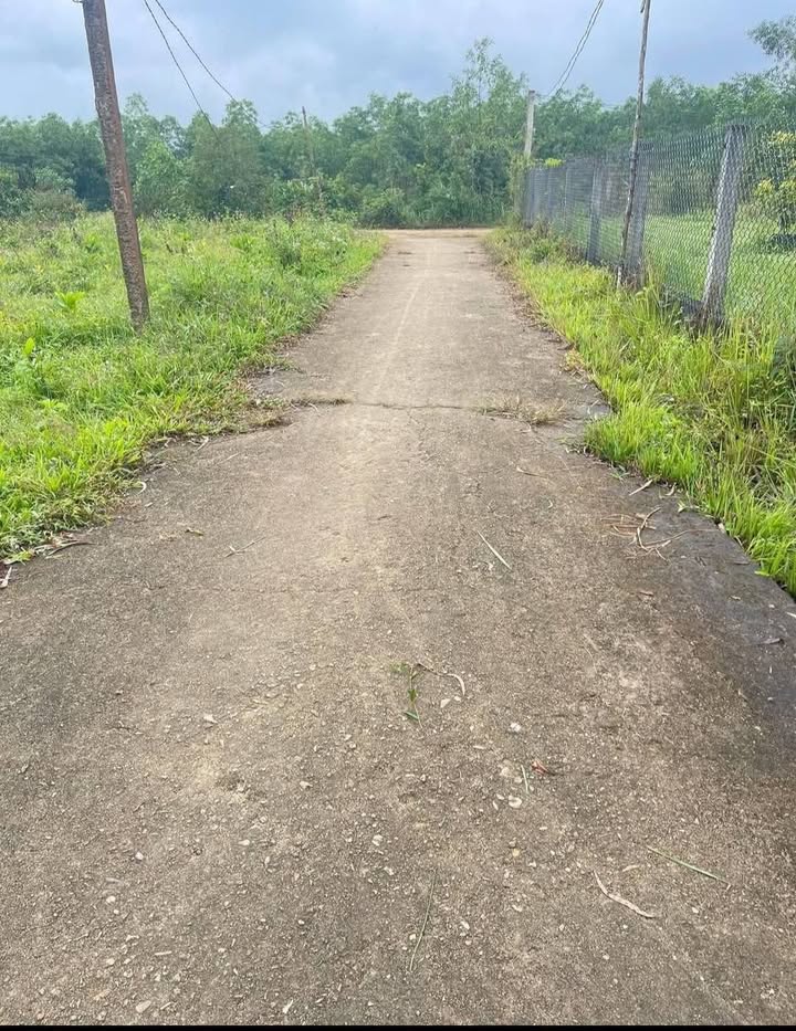 Đất vườn 1500m² tại xã Bình Thuận, huyện Bình Sơn - Giá chỉ 700 triệu