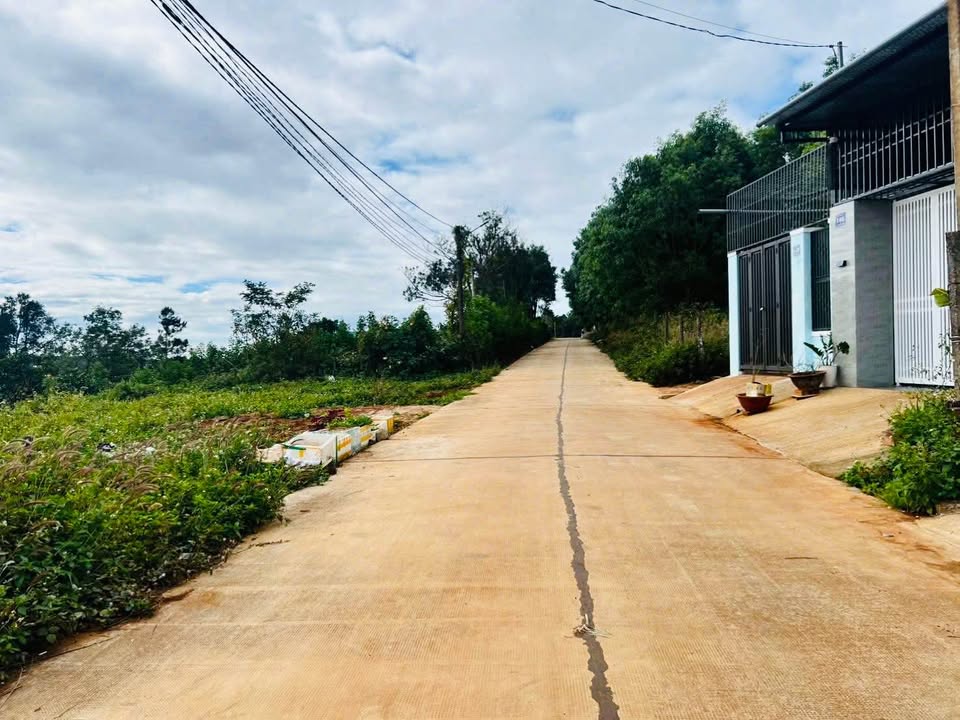 Đất nền Hẻm Gara Năm Râu, Pleiku 484m² - Đầu tư sinh lời tuyệt vời!