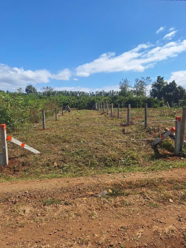 Đất nền hẻm 104 Trần Văn Ơn, 122m² giá chỉ 4 triệu - Cơ hội đầu tư hiếm có!