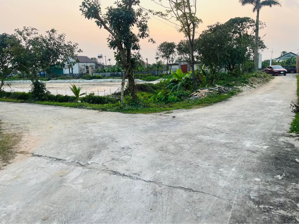 Đất nền Cẩm Quang - 290m² giá 8xx triệu - Cơ hội đầu tư hấp dẫn!