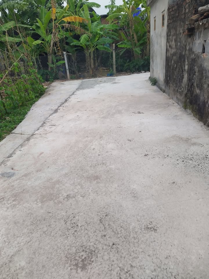 Đất nền Nam Hà Tiền Hải 100m² giá chỉ 400 triệu - Cơ hội đầu tư lý tưởng!