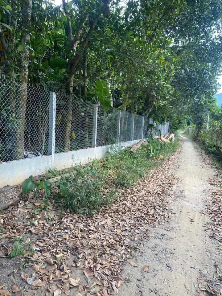 Bán vườn Nghĩa Hà Quảng Ngãi 1250m² giá 850 triệu - Tiềm năng phát triển lớn!