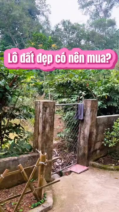 Đất đầu tư Thái Nguyên 6.621m² giá tốt - Cơ hội không thể bỏ lỡ!