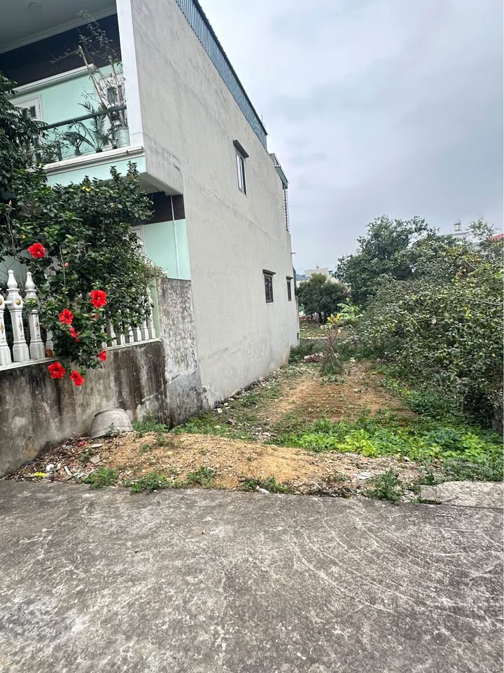 Đất nền Khu 8 Thanh Sơn - Uông Bí 95m² giá 1 tỷ - Đầu tư sinh lời!