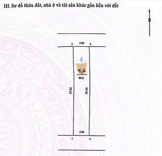 Đất nền 80m² trung tâm thị trấn Thường Tín - Đầu tư sinh lời bền vững!