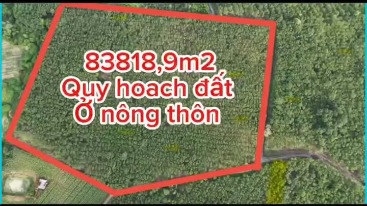 Đất nền đẹp tại xã Tân Lâm, huyện Xuyên Mộc, 83.819m² giá 34,6 tỷ - Tiềm năng đầu tư lớn!