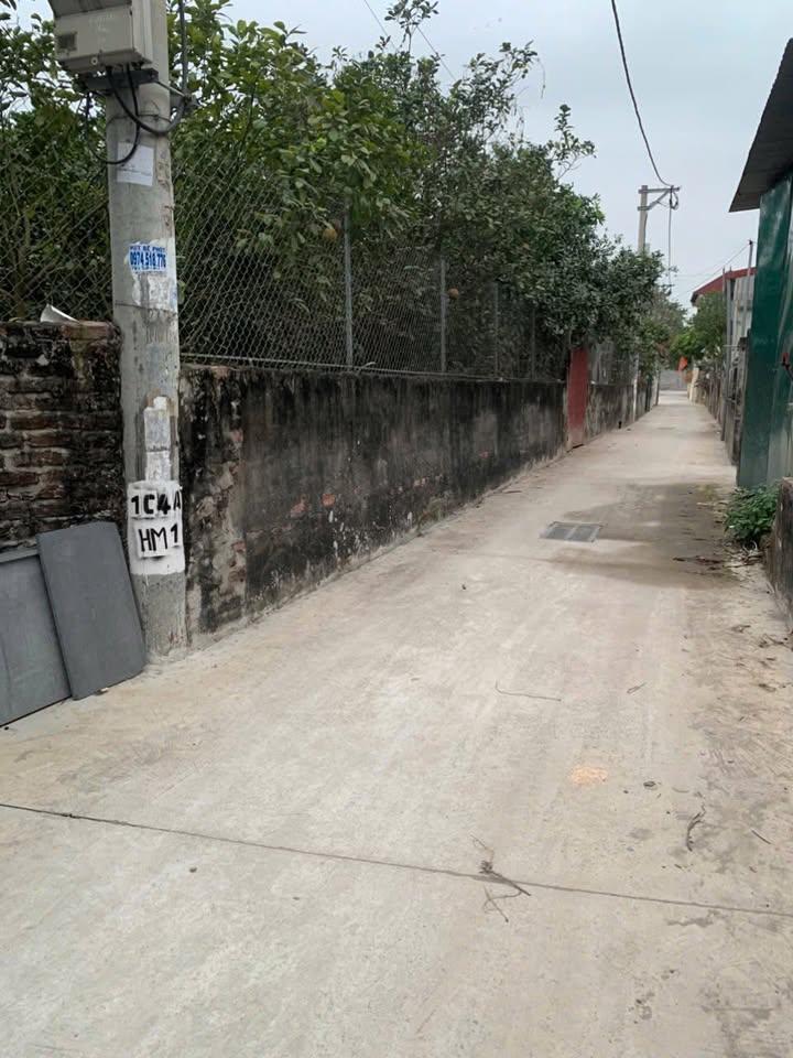 Đất thổ cư Hát Môn 307m² giá thỏa thuận - Đầu tư sinh lời hấp dẫn!