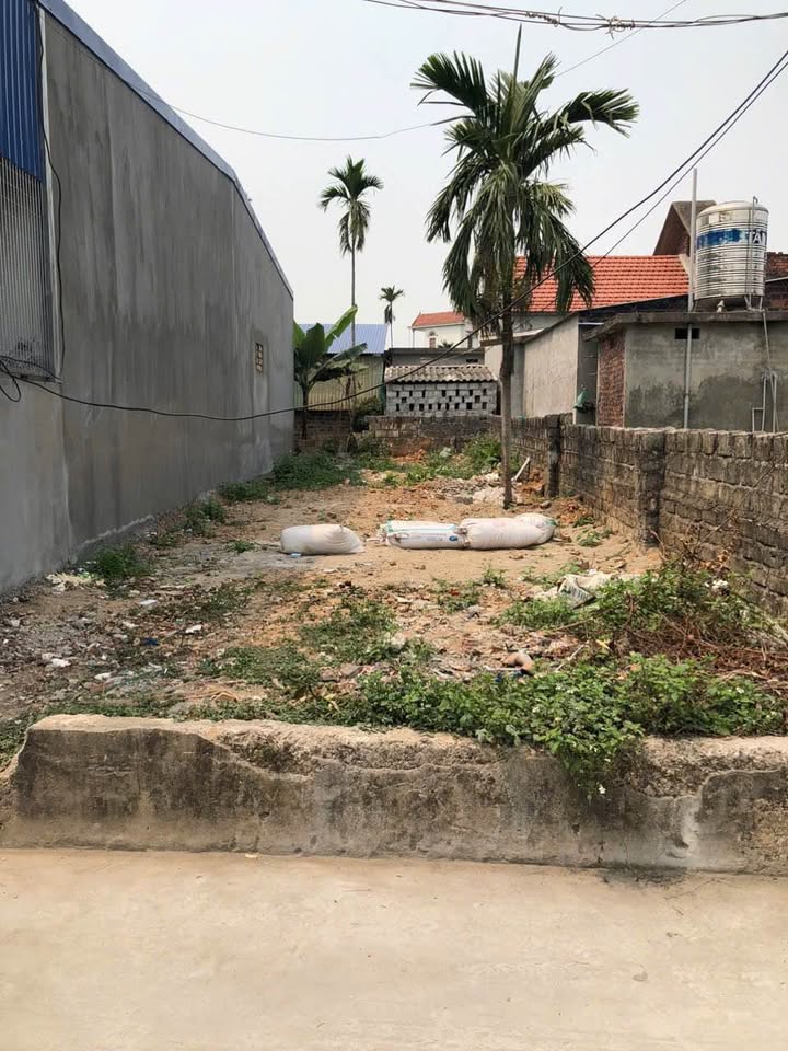 Đất thổ cư thôn 5, xã Chinh Mỹ, Thủy Nguyên, Hải Phòng 91,3m² - Giá chỉ 980 triệu!