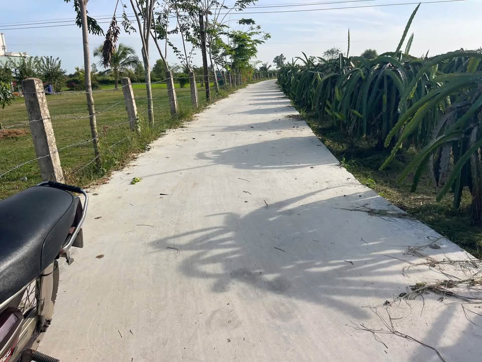 Đất nền 201m² mặt tiền Bê Tông Tân Nông giá chỉ 190 triệu - Đầu tư sinh lời ngay!