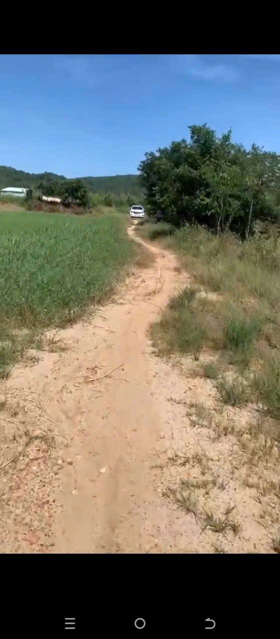 Đất cây trồng 4ha tại Sông Lũy, Bắc Bình chỉ 1.5 tỷ - Cơ hội đầu tư tuyệt vời!