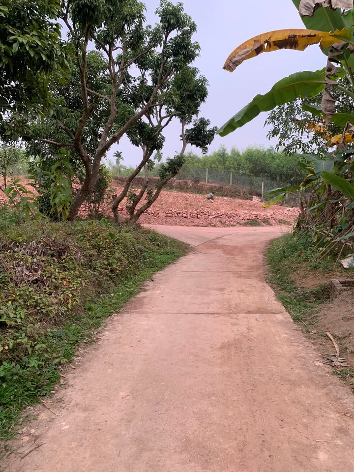 Đất nền Thái Nguyên 550m² giá 1.9 tỷ - Tiềm năng đầu tư hấp dẫn!