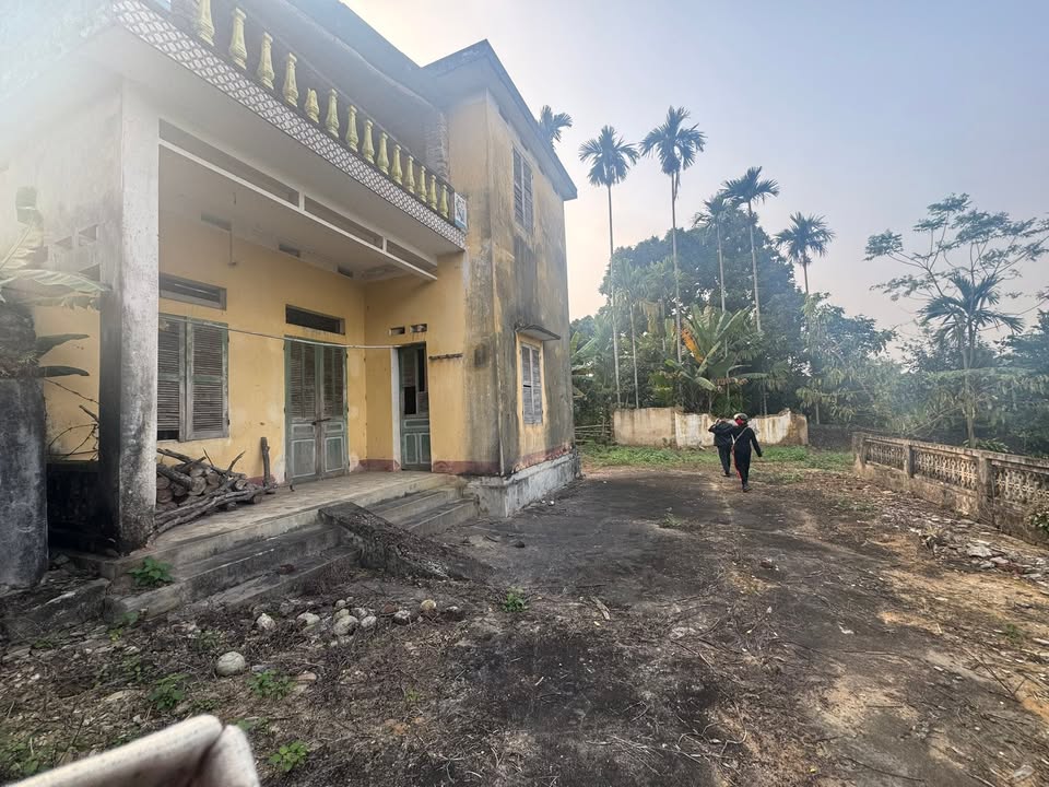 Đất thổ cư và nông nghiệp Đại Từ Thái Nguyên 1,800m² - Phù hợp đầu tư và nuôi trồng!