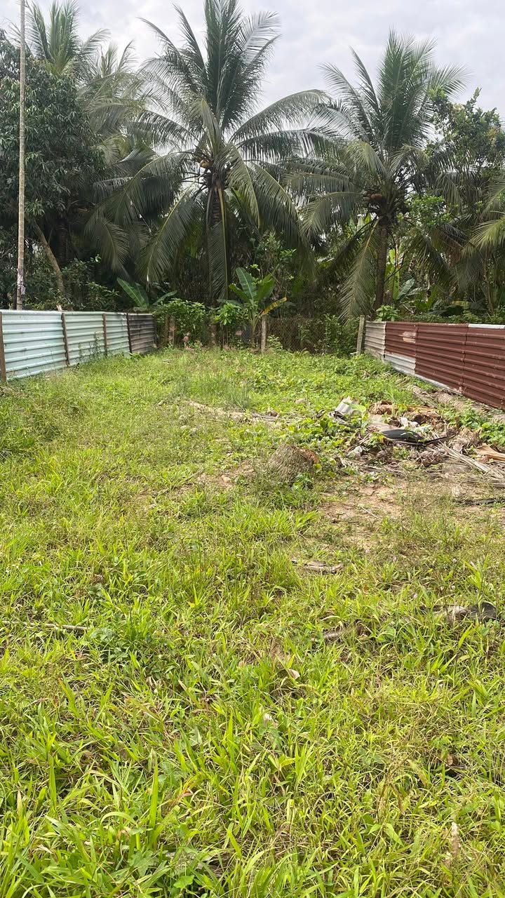 Đất nền Thạnh Phú Châu Thành 139m² chỉ 700 triệu - Sổ hồng chính chủ!