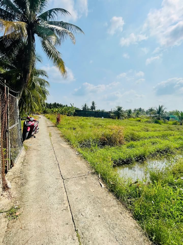 Đất nền Ấp Thạnh Hưng, Châu Thành, Tiền Giang 3200m² - Giá tốt, tiềm năng phát triển!