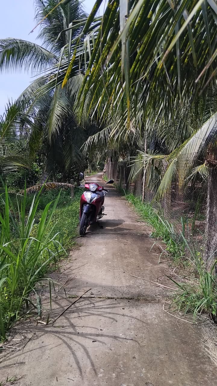 Đất nền Long Hòa A, 270m² chỉ 600 triệu - Cơ hội đầu tư hấp dẫn!